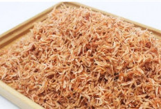 Manfaat Udang Rebon: Si Kecil dengan Segudang Khasiat untuk Kesehatan