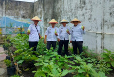 Dukung Ketahanan Pangan, Panen Terong di Lingkungan Lapas