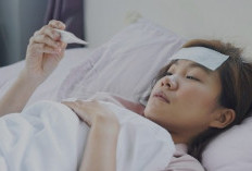 Waspada! Demam Tinggi Bisa Jadi Tanda DBD, Ini Gejala dan Waktu Tepat ke Dokter