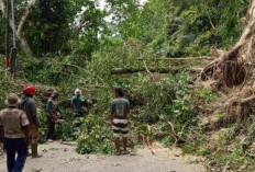 Akibat Longsor, Jalan di Desa Simpang Sender Utara Sempat Tertutup