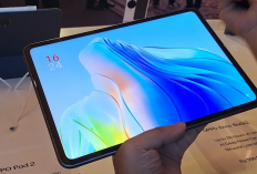 Oppo Pad 2 Resmi Indonesia, Bawa Layar Inovatif dan Performa Flagship