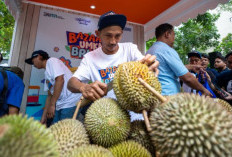 Tips Memilih Durian yang Manis dan Tekstur Sempurna