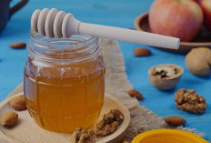 Rahasia Madu Herbal untuk Redakan Maag dan Asam Lambung