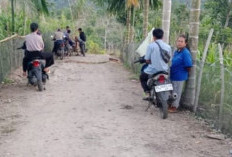 Ratusan Warga Berharap Tingkatkan Jaringan Seluler