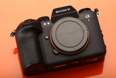 Sony Resmi Luncurkan Alpha 1 II Kamera Mirrorless Generasi Kedua dengan Peningkatan Luar Biasa