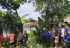 Bedeng 6 Pintu Terbakar, Kerugian Diduga Mencapai Puluhan Juta Rupiah