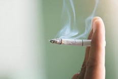 Bahaya Paparan Asap Rokok untuk Kesehatan dan Cara Menghindarinya