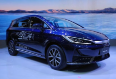 BYD M6, SUV Listrik 7 Seater Mewah Cuma Rp 383 Jutaan!