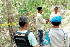 Ibu Hamil di Kabupaten Mura Tewas Diserang Belasan Gajah Liar