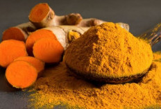Bahan Herbal Penunjang Terapi Kanker Tulang, Solusi Alami untuk Tingkatkan Kualitas Hidup