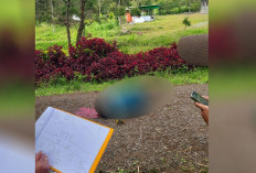 KKB Eksekusi 2 Pekerja Gereja Wamena 