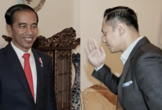 Jokowi Dikabarkan Bakal Lantik AHY jadi Menteri ATR/BPN