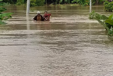 836 Rumah Terendam Banjir, Kerugian Capai Rp 3,94 miliar