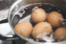 Panduan Merebus Telur dengan Tepat agar Matang Sempurna