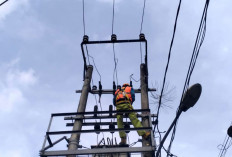 PLN ULP Martapura Lakukan Perawatan Jaringan