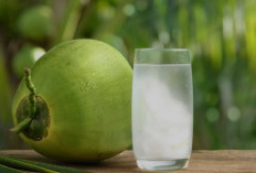 Minuman Sehat yang Aman untuk Pengidap Asam Lambung