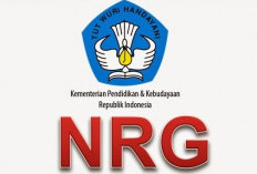 Panduan Lengkap NRG, Dari Persyaratan hingga Cara Cek Secara Online