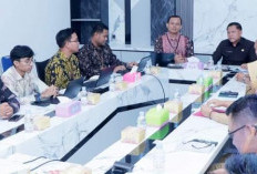 BPS OKU Selatan Gelar FGD Bersama Pemkab