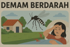 Waspada DBD: Bahaya, Fase Kritis, dan Pentingnya Vaksinasi Lengkap