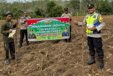 Polisi Turun ke Lahan Kawal Penanaman Jagun