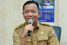 Target PAD Naik Rp100 M