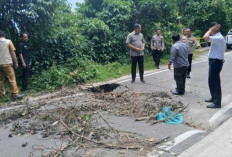 Bupati OKU Selatan Tinjau Jalan Amblas di Jalur Grand Fondo Ranau 2025