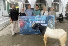 Citimall Baturaja Salurkan Hewan Kurban untuk Warga Sekitar