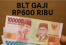 Pekerja Bergaji Rendah Merapat! BLT Gaji Rp600 Ribu Siap dari Kemnaker Cair Lagi 2025? ini Syaratnya!