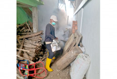 Fogging Sejumlah Desa Rawan DBD
