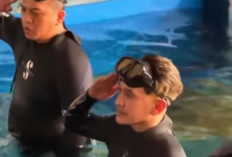 Ruben Onsu Akan Kibarkan Bendera Merah Putih di Dalam Kolam Berisi Hiu Saat 17 Agustus