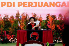 Megawati Bingung dengan Wacana Dorong PDIP Dukung Anies