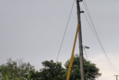 PLN Baturaja Berjibaku Atasi Jaringan Listrik Saat Cuaca Ekstrem 