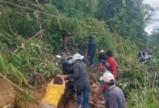 Jalan Muarasindang Ilir–Watas Diterjang Lonsor, Arus Lalulintas Sempat Lumpuh