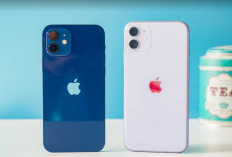 iPhone 11 Turun Harga! Tapi Masih Kencang & Worth It di 2025