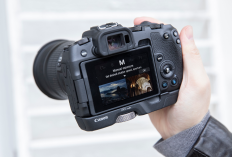 Kamera Full Frame Budget 2026 Pilihan Terjangkau untuk Foto Estetik
