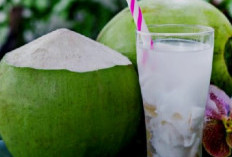 Tak Sekadar Segar, Ini Manfaat Air Kelapa bagi Pengidap GERD