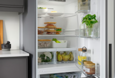 Kulkas Paling Worth It untuk Keluarga Baru di 2025 Empat Model yang Hemat Listrik