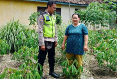 Polsek Buay Sandang Aji Tinjau Ketahanan Pangan di Desa Gunung Terang
