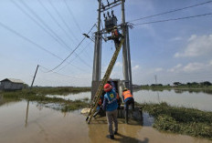 PLN Intruksikan Seluruh Unit Siaga Penuh Pastikan Keamanan Jaringan Listrik Akibat Cuaca Ekstrem