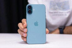 Bukan Pro, iPhone 16 Biasa Justru Jadi Jawara Penjualan Global 2025