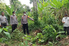 Heboh! Warga Temukan Kerangka Manusia di Kebun Pisang