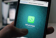 Memori Penuh Karena WhatsApp? Ini Cara Efektif Menghapus Foto dan Video Sekaligus