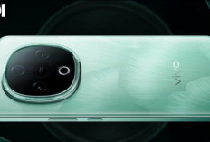 Vivo Y300C HP Entry-Level dengan Layar AMOLED 120Hz dan Baterai Jumbo 6.500 mAh