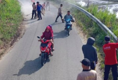 Guna Keamanan dan Kenyamanan Peserta, Bersihkan Rute Sriwijaya Ranau Gran Fondo