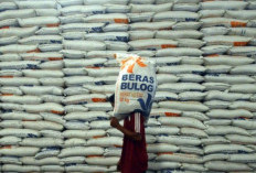 Bulog Salurkan 1.640 Ton Beras untuk OKU Raya