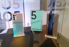 Daftar Harga Oppo Reno Series di Bawah Rp 5 Juta per Juni 2025, Banyak Pilihan Menarik!