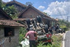 Truk Pupuk Terbalik, Lalu Lintas Sempat Terganggu