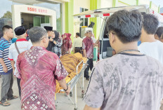 Terlibat Perkelahian Sesama Honorer Dinas PUPR Muratara, 1 Orang Tewas