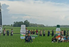 Petrokimia Kayaku Sosialisasi dan Bazar Produk Pertanian, Dukung Pertanian Presisi
