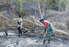 Hotspot baru terdeteksi di Kabupaten Empat Lawang.